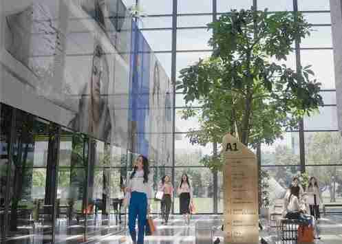 人生就是博光电简介