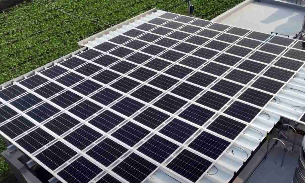 人生就是博SunSteel光电浪板升级双玻结构，，，，以提升机械负载强度及气候耐候度，，可广泛运用于多元场域