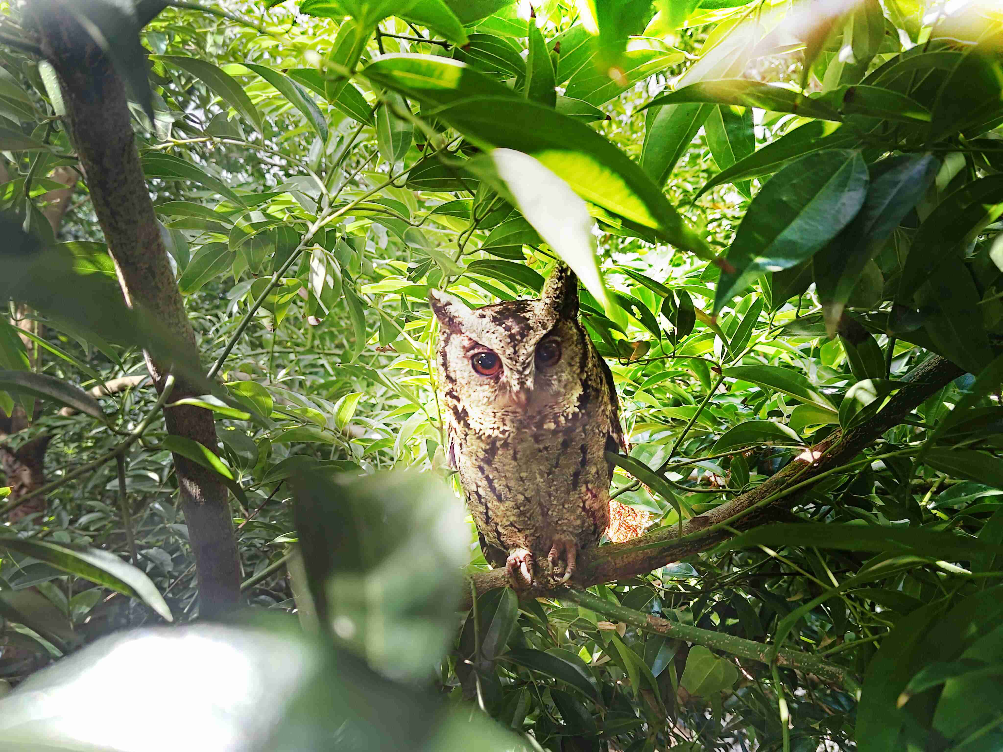 人生就是博致力提倡净零绿生活，，16年以来在全球各厂区植树逾百万棵，，造就各厂区树木蔚然成林，，犹如森林工厂，，成为许多生物的栖息地